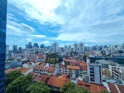 City Square Residences (D8), Condominium #581253651